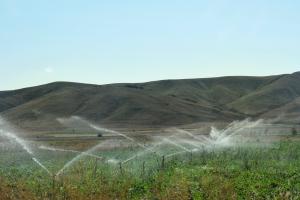 Agua alimentación