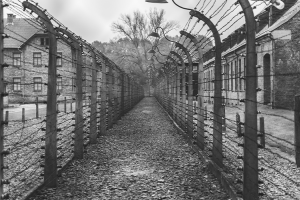 Holocaust