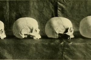 The groundwork of eugenics